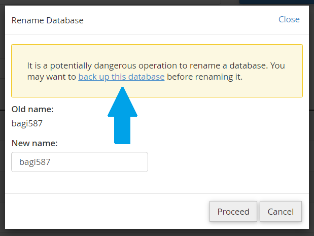 Backup the database before renaming