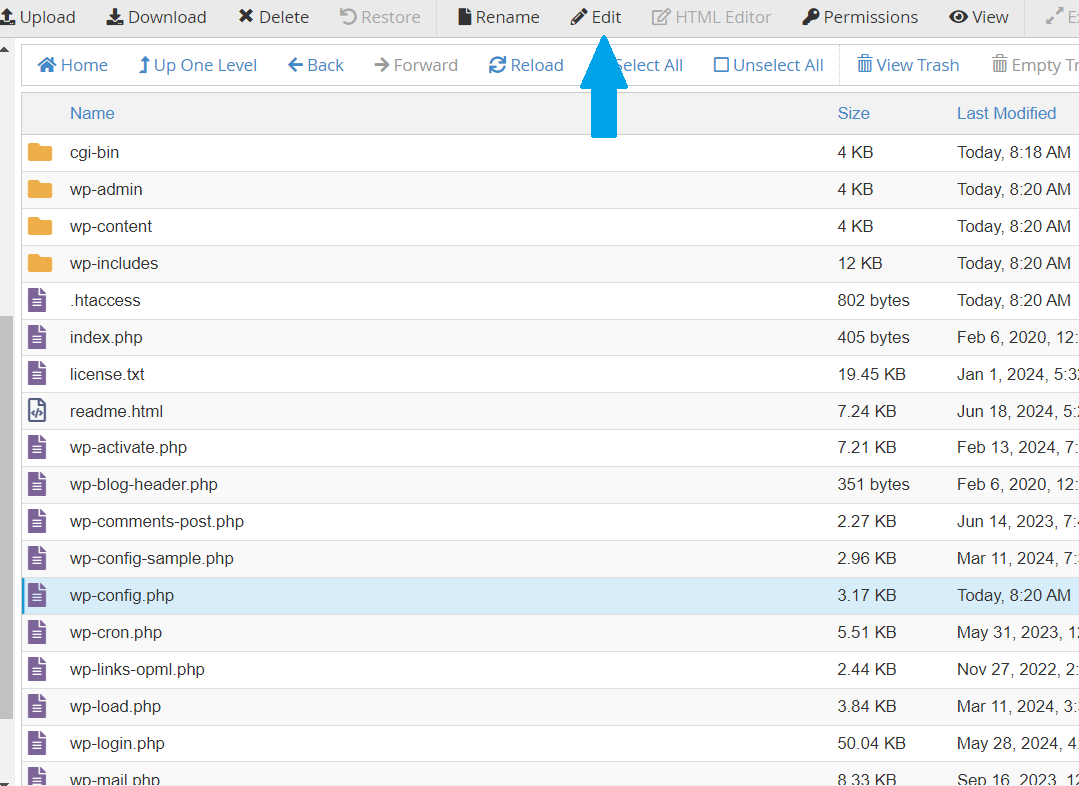 From the File Manager, locate the wp-config.php file to Edit