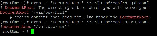 How to find Apache Document Root in CentOS