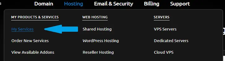Navigate to 'My Services' using the primary menu