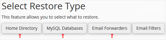 Select restore type