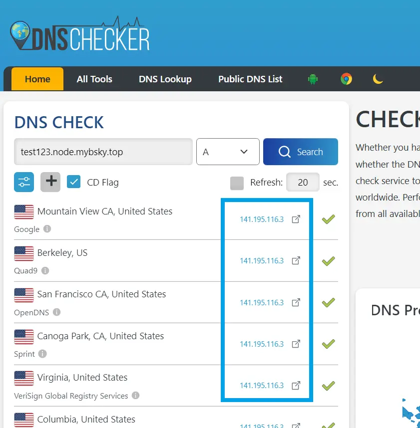 Self-Hosting A Bluesky Personal Data Server On Ubuntu Vps Image 1 Verify dns using dns checker